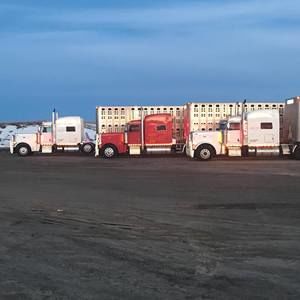 Meet your Posher, Allen